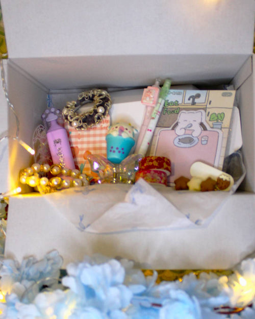 Pack Premium Scoop + Gift