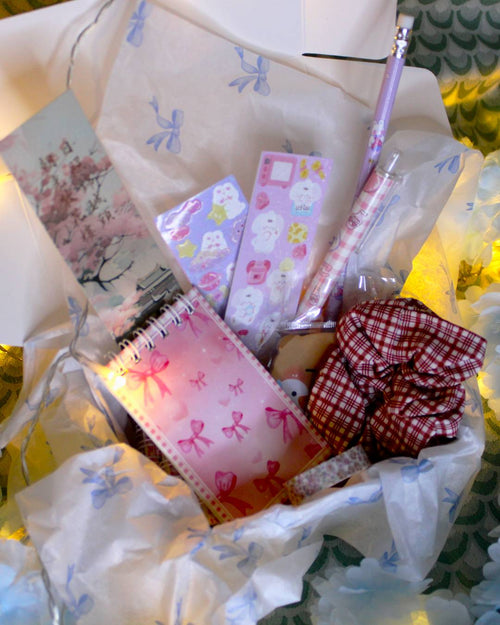 Mini scoop pack d'ouverture du site